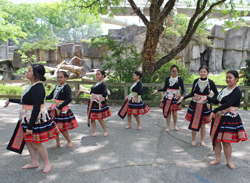 Paj Tawg Tshiab (blooming flower) traditional Hmong dance group  at Cleveland Metroparks Zoo