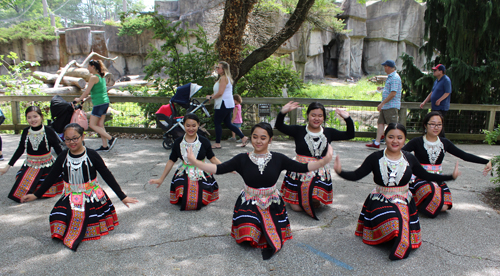 Paj Tawg Tshiab (blooming flower) traditional Hmong dance group  at Cleveland Metroparks Zoo