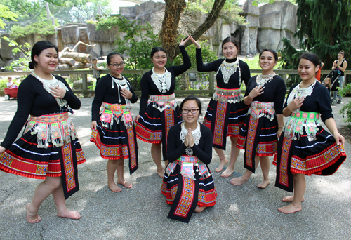 Paj Tawg Tshiab (blooming flower) traditional Hmong dance group  at Cleveland Metroparks Zoo