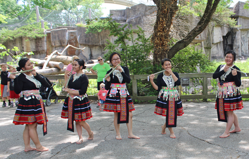 Paj Tawg Tshiab (blooming flower) traditional Hmong dance group  at Cleveland Metroparks Zoo