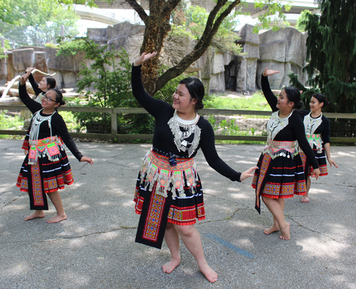 Paj Tawg Tshiab (blooming flower) traditional Hmong dance group  at Cleveland Metroparks Zoo