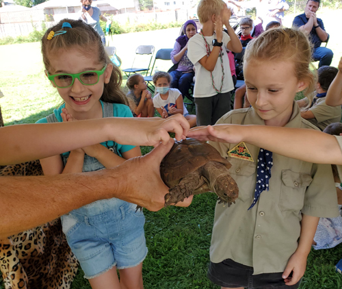 kids pet turtle at Hungarian Scout Festival