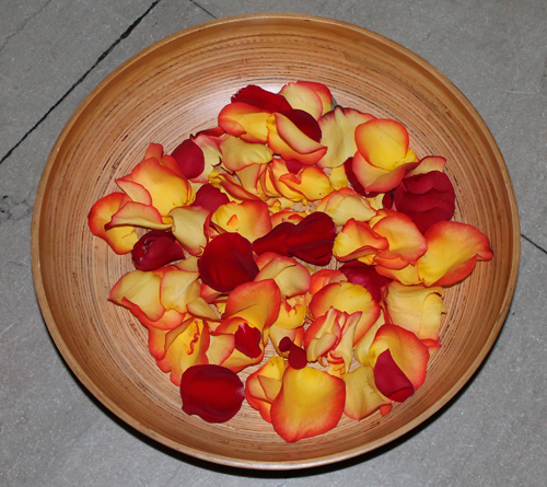 Rose petals at Diwali