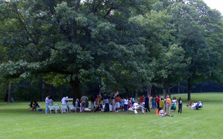 Shade tree at Indian American FICA picnic