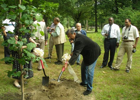 Dr. Raj Aggarwal helps plant the tree