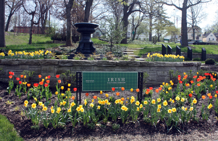 Tulips in the Irish Cultural Garden in Cleveland Ohio