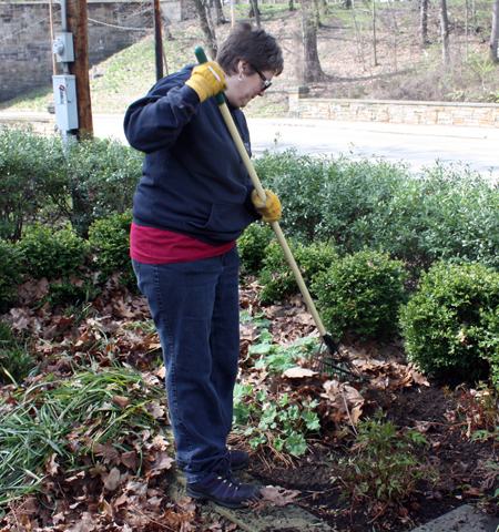 Pat Nemecek working in the Cleveland Irish Cultural Garden