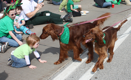 Dogs in the Cleveland St Patrick's Day Parade
