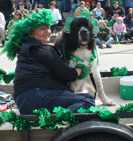 Dogs in the Cleveland St Patrick's Day Parade