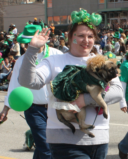 Dogs in the Cleveland St Patrick's Day Parade