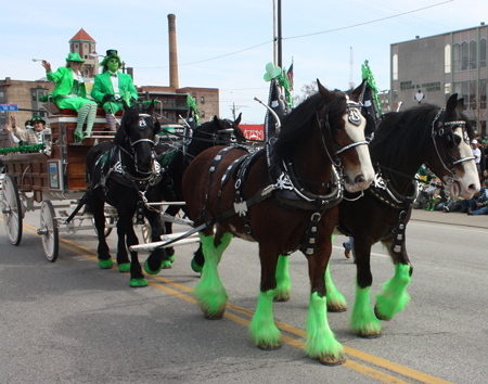 Horses in the Cleveland St Patrick's Day Parade