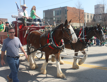 Big Sky Clydesdales