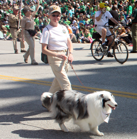 Dog at the 2012 Cleveland St. Patrick's Day Parade