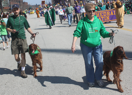 The Irish Setter Club of Ohio at the 2012 Cleveland St. Patrick's Day Parade