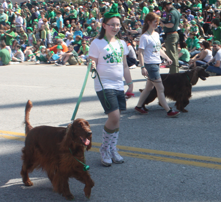 The Irish Setter Club of Ohio at the 2012 Cleveland St. Patrick's Day Parade