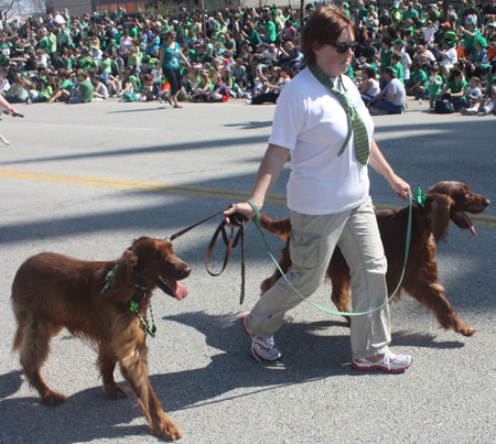 The Irish Setter Club of Ohio at the 2012 Cleveland St. Patrick's Day Parade