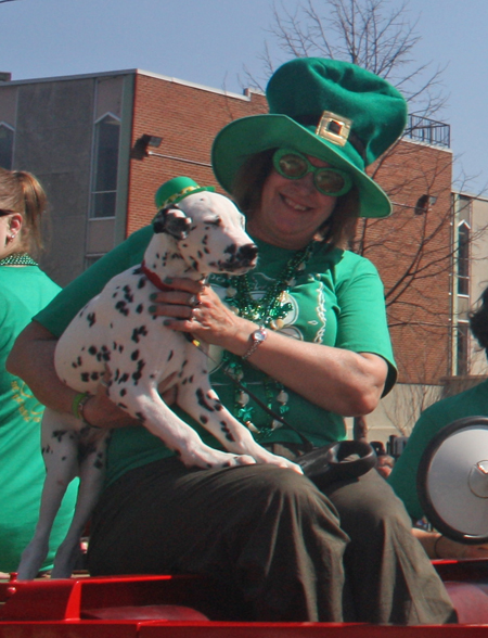 Dalmatian at Irish Parade