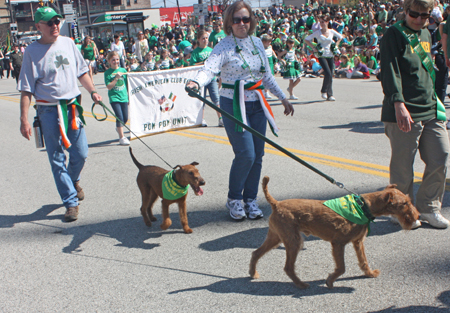 Irish American Club East Side - dogs marching
