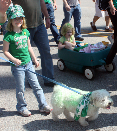 Dog at the 2012 Cleveland St. Patrick's Day Parade