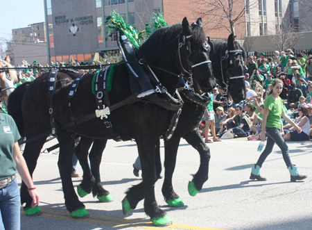 Lake Metropark Farm Park at St Patrick's Day Parade