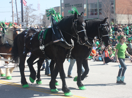 Lake Metropark Farm Park at St Patrick's Day Parade