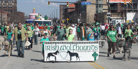 Irish Wolfhounds of Northeast Ohio