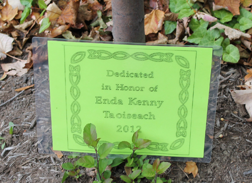 Tree in Irish Cultural Garden for Taoiseach Enda Kenny