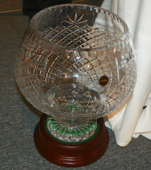 Mayo Crystal Award