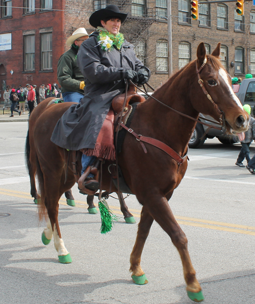 Horse at the  2013 Cleveland St. Patrick's Day Parade