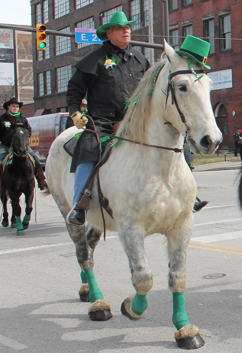 Horse at the  2013 Cleveland St. Patrick's Day Parade