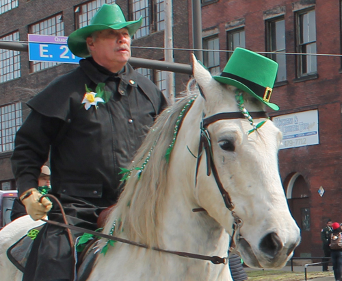 Horse at the  2013 Cleveland St. Patrick's Day Parade