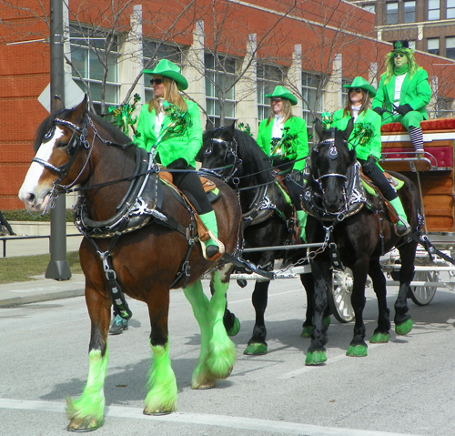 Horse at the  2013 Cleveland St. Patrick's Day Parade