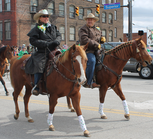 Horse at the  2013 Cleveland St. Patrick's Day Parade