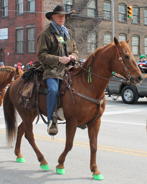 Horse at the  2013 Cleveland St. Patrick's Day Parade