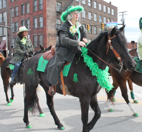 Horse at the  2013 Cleveland St. Patrick's Day Parade