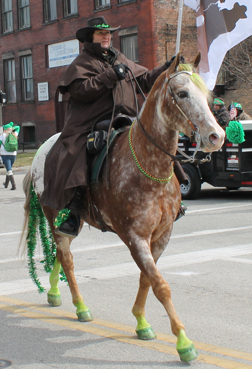 Horse at the  2013 Cleveland St. Patrick's Day Parade