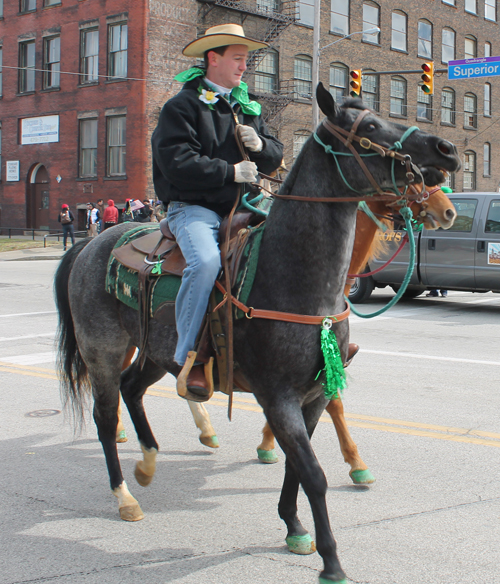 Horse at the  2013 Cleveland St. Patrick's Day Parade