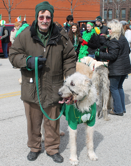 Irish wolfhound at the  2013 Cleveland St. Patrick's Day Parade