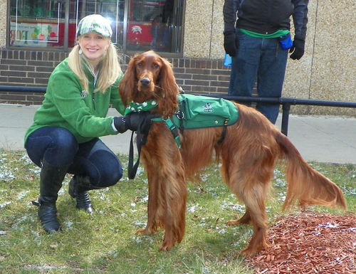 Irish setter at the  2013 Cleveland St. Patrick's Day Parade