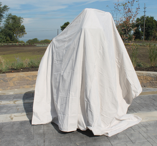 Johnny Kilbane statue covered in Battery Park