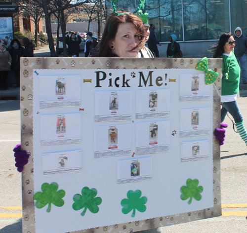 City Dogs Cleveland in the 148th Cleveland St Patrick's Day Parade