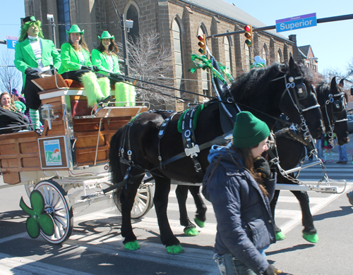 Green horses from Lake Farm Park