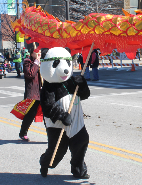 Panda Cleveland Asian Festival in the 148th Cleveland St Patrick's Day Parade