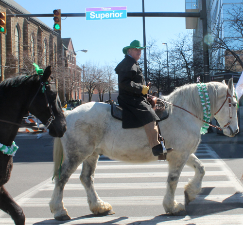 Horses at Cleveland 2015 St Patrick's Day parade