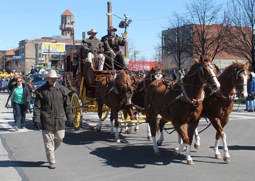 Wells Fargo Horses at Cleveland 2015 St Patrick's Day parade