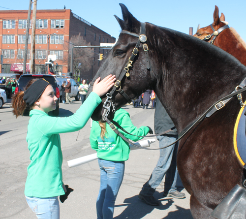 Girl petting horse