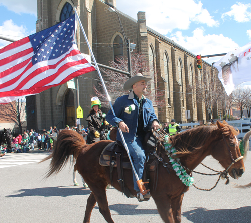 Horse at  the 2016 St. Patrick's Day Parade in Cleveland