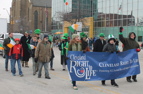 Division 2 of St Patrick's Day Parade