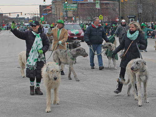 Division 2 of St Patrick's Day Parade