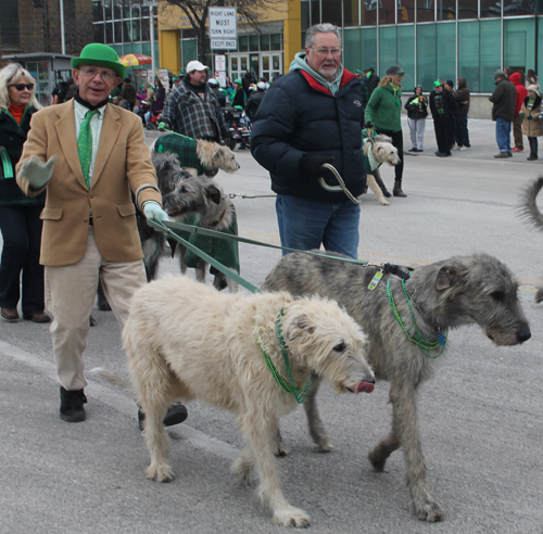 Division 2 of St Patrick's Day Parade